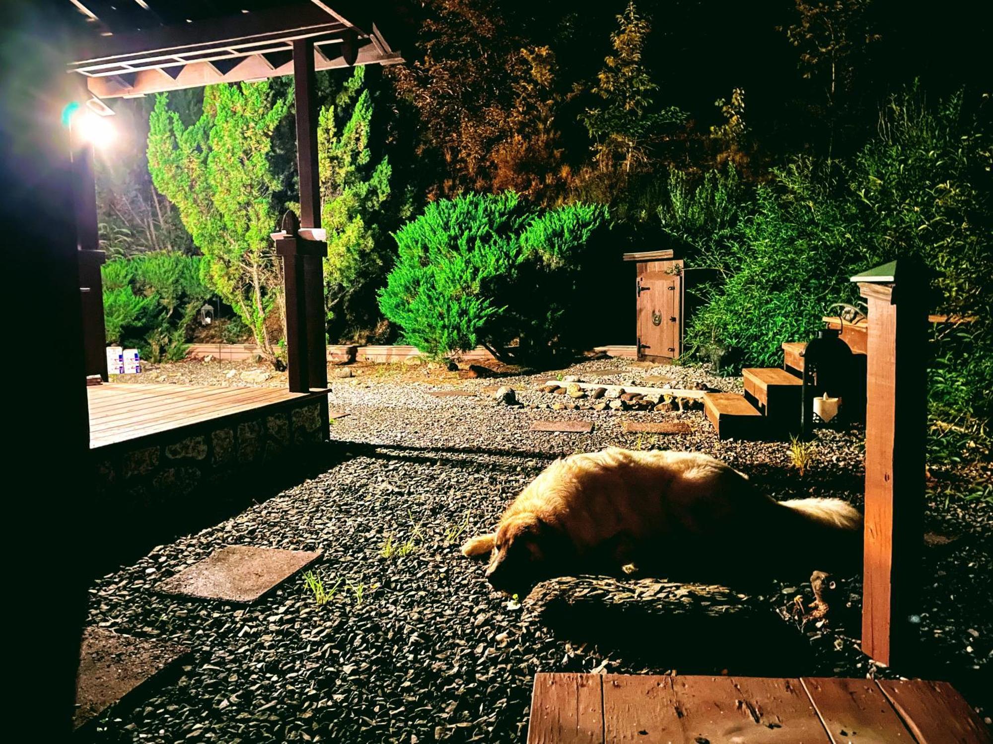 فيلا Tiny House, Wifi,Hot Tub,Secluded Cosby المظهر الخارجي الصورة
